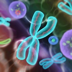 Genome editing tools Genome editing tools